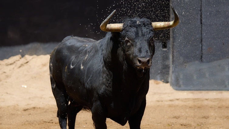 La Maestranza mantiene su normalidad con la corrida de toros de Fermín Bohórquez