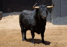 La Maestranza mantiene su normalidad con la corrida de toros de Fermín Bohórquez