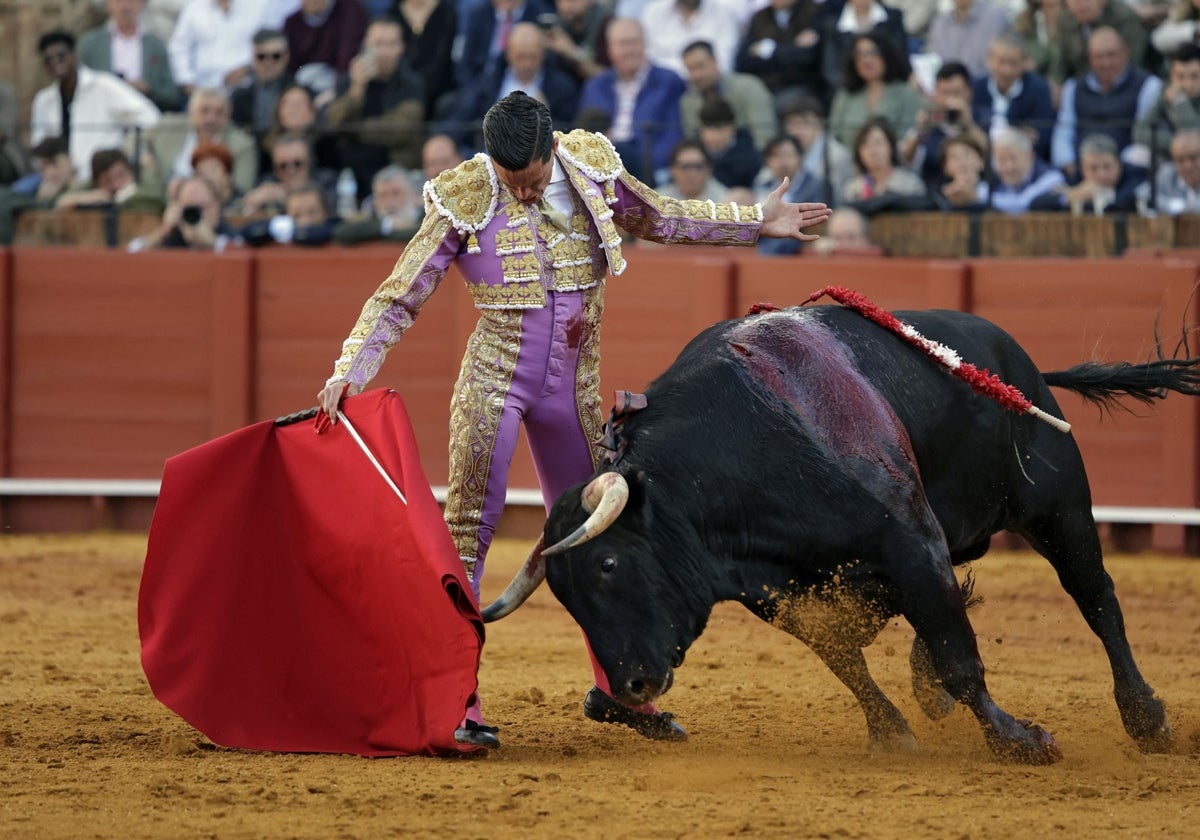 David Galván bordó el toreo fundamental, los remates y desplantes con el extraordinario Pelucón