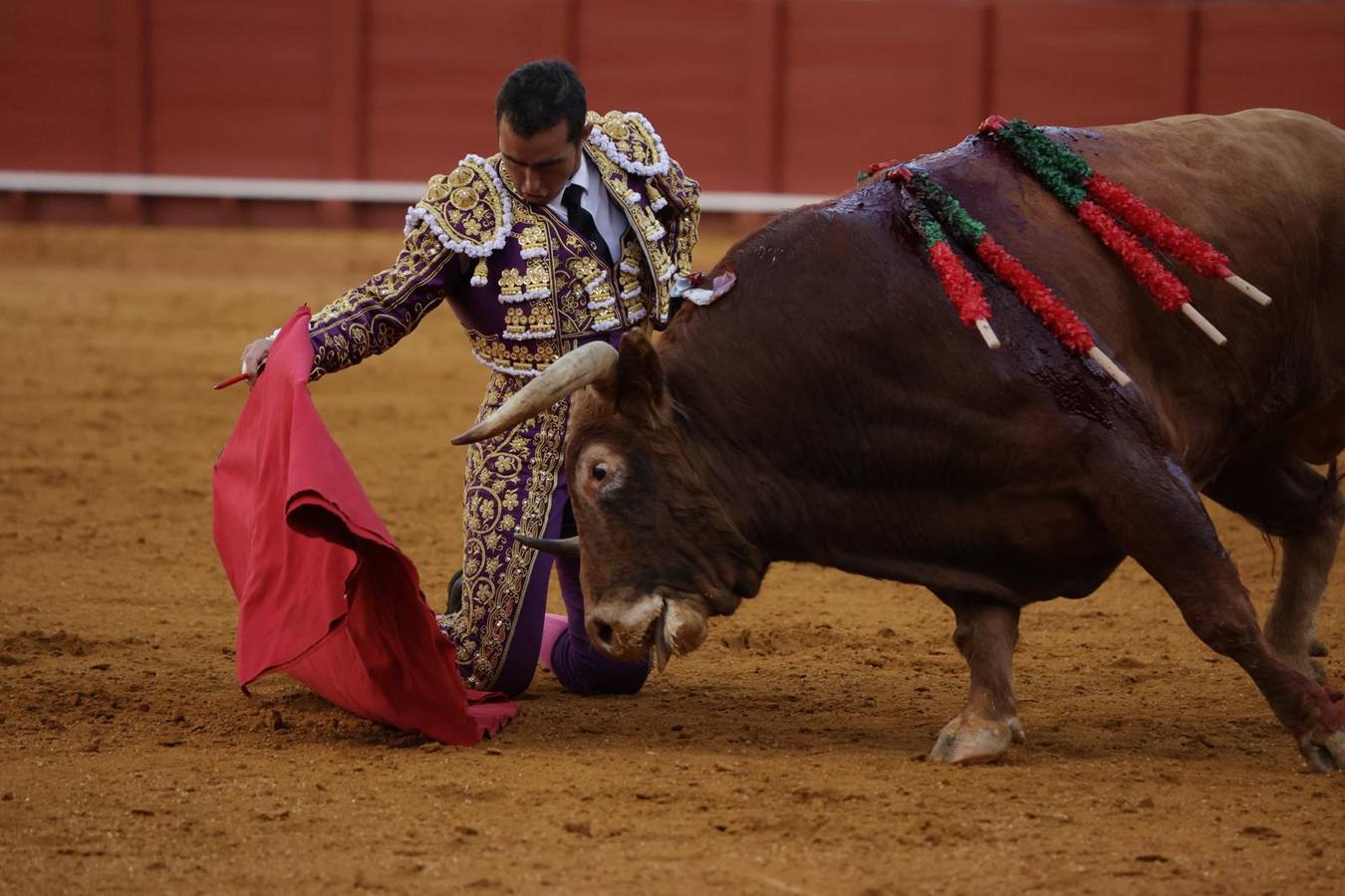 El Fandi, con los toros de Alcurrucén que le tocaron en suerte