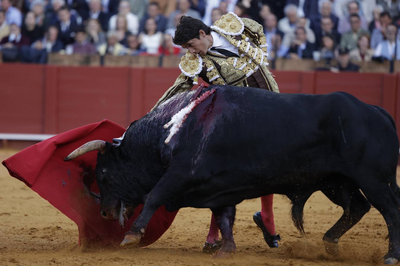 Sebastián Castella toreando al primero de su lote
