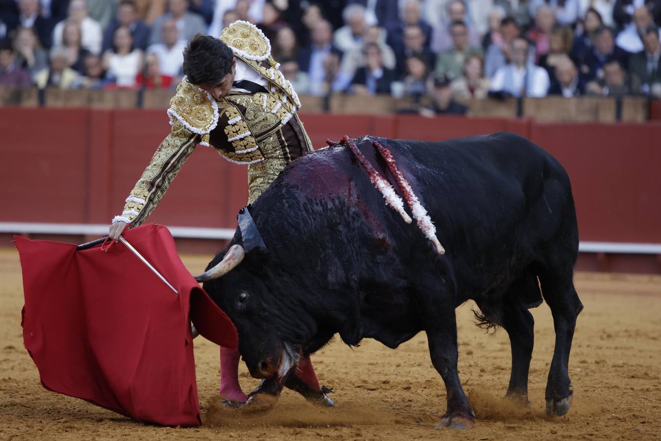 Sebastián Castella toreando al primero de su lote