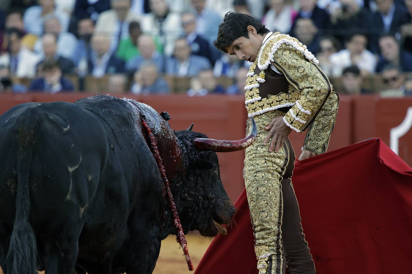 Sebastián Castella toreando al primero de su lote