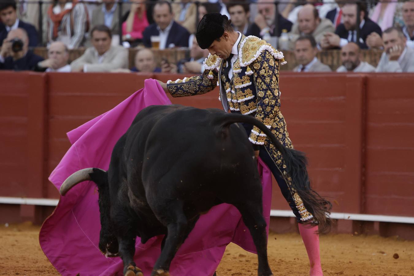 José María Manzanares recibiendo a su primer toro con el capote