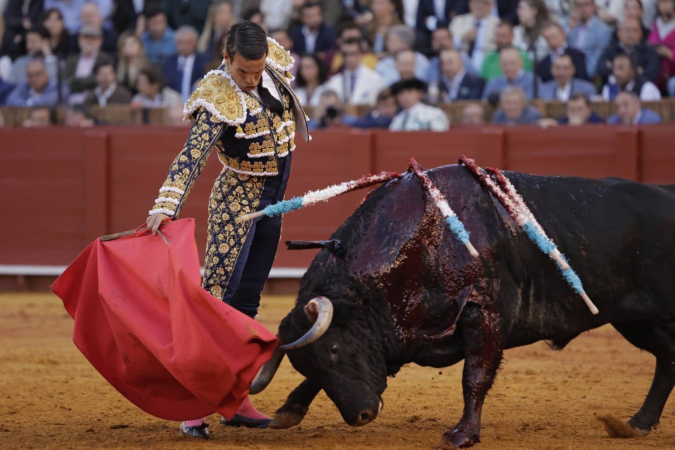 José María Manzanares, de azul noche y oro, torea con la muleta