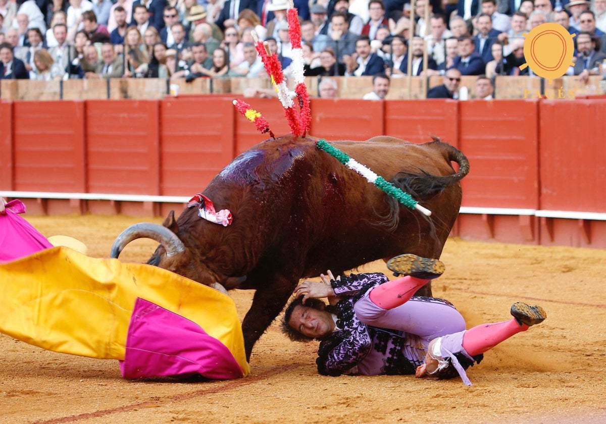 Cornada sufrida por el banderillero extremeño