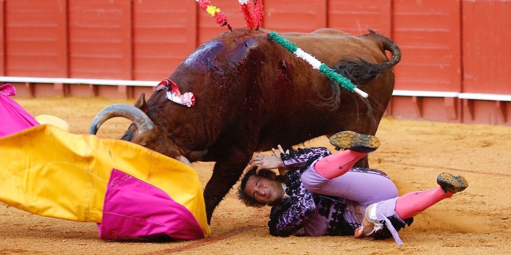 El banderillero Javier Ambel sufre una cornada en la Maestranza de Sevilla