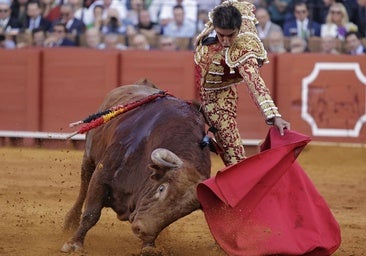 Lección magistral de Perera ante la bravura extrema de Santi Domecq: Anárquico, un toro para toreros machos
