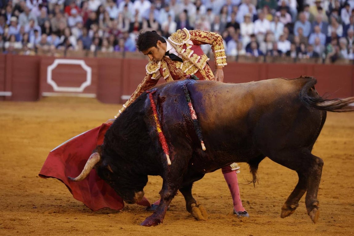 El quinto toro fue para Perera
