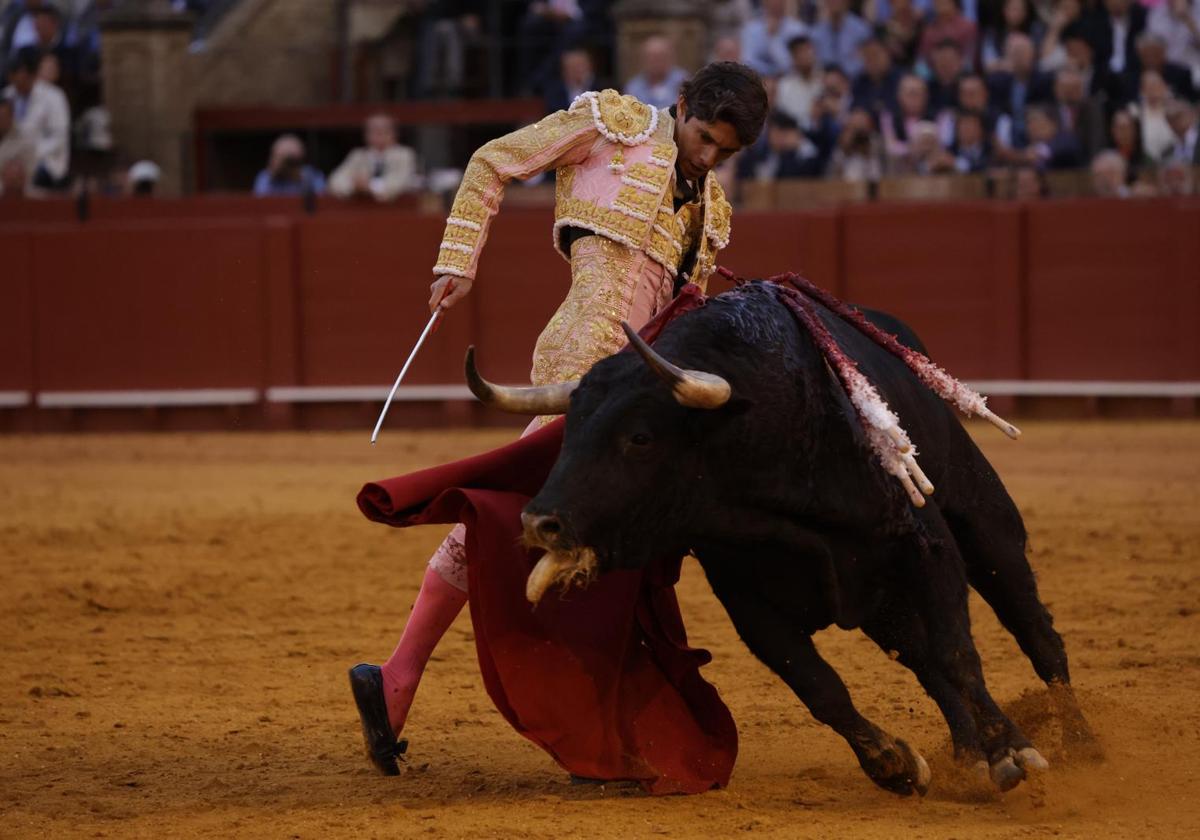 Toros en la plaza de la Maestranza de Sevilla