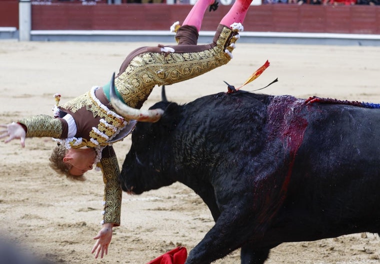 Clemente, cogido por el toro de su confirmación de alternativa
