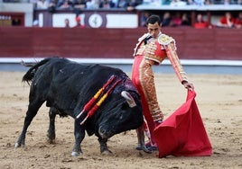 La crónica de San Isidro: a los mansos también les cuelgan las orejas