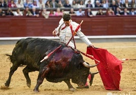 Frenoso, un toro de vacas al que ninguneó Madrid