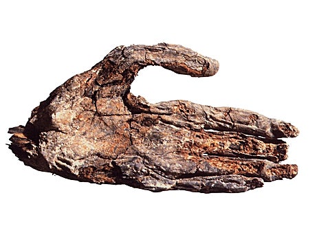 Imagen secundaria 1 - Vista axonométrica de la pirámide escalonada de Djoser y su red de galerías subterráneas. En naranja, los hallazgos de la misión letona (según D. Monnier, 'L'univers fascinant des pyramides d'Égypte, Editorial Faton, 2021)) Mano momificada del faraón Neferefra hallada en su pirámide. Pirámide de Sinky, que aún conserva las rampas utilizadas para su construcción