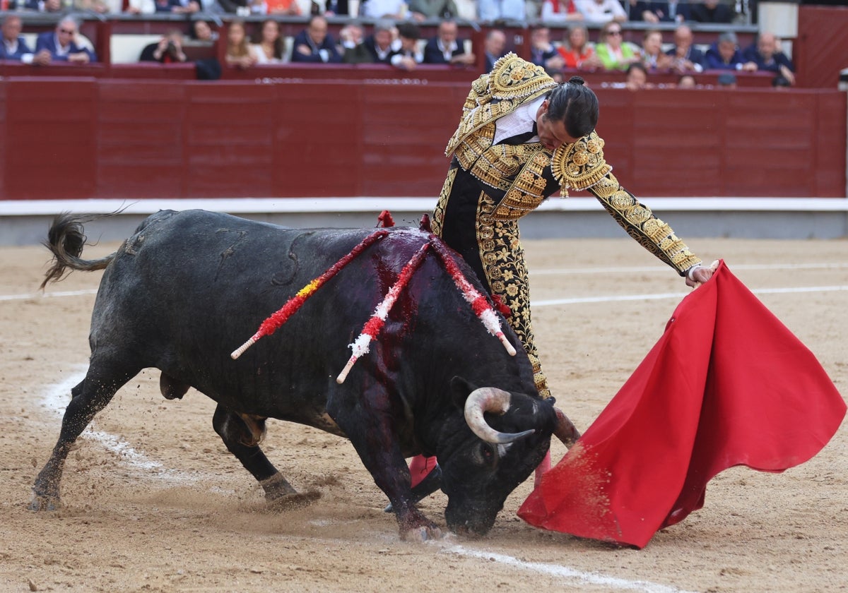Uceda Leal, al natural con Rabioso, con el hocico por la arena