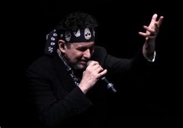 Andrés Calamaro durante un concierto