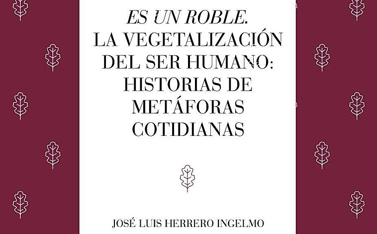 Görüntü - Sebzeden hayvana: İnsan doğasının sembolik portreleri