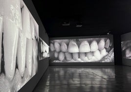 Detalle del montaje de '2.068 dientes' en el Museo Helga de Alvear