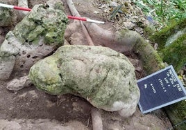 Descubren una ciudad maya de hace 2.800 años en Guatemala
