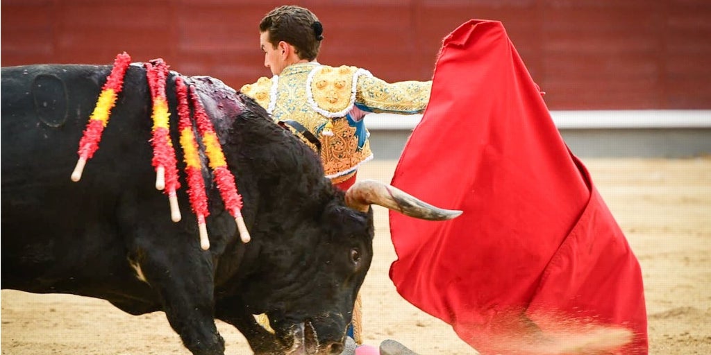Las orejas ya estaban perdidas