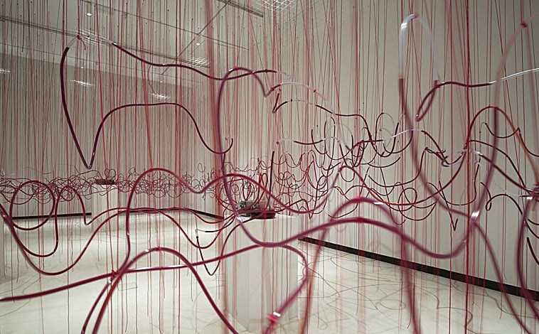 Imagen principal - En las imágenes, detalles del montaje de 'Mi casa es tu casa', de Chuaru Shiota en Bilbao