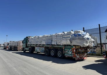 'Contra el progreso', de Slavoj Zizek: a marchas forzadas hacia la biomasa