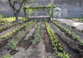 La 'Casa del Perfumista' vuelve a florecer más de 2.000 años después en Pompeya
