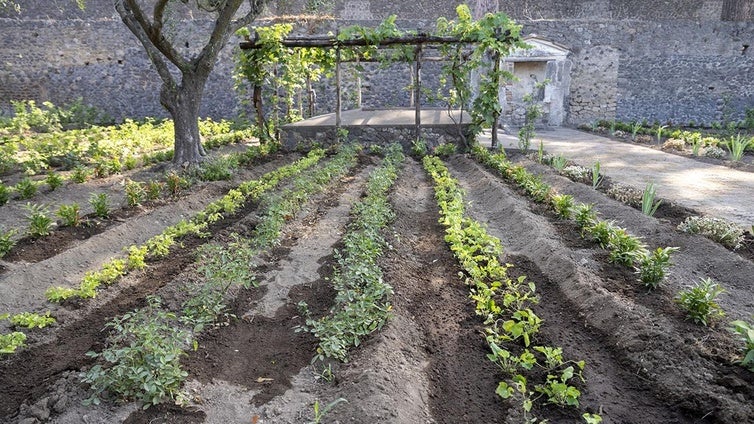 La 'Casa del Perfumista' vuelve a florecer más de 2.000 años después en Pompeya