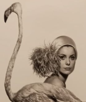 Imagen secundaria 2 - Arriba, imagen de David Bailey para 'Vogue', años 70. Sobre estas líneas, a la izquierda, Fenton Bailey, con el retrato que su padre hijo a la Reina Isabel II en 2014. A la derecha, Catherine Deneuve con flamenco para 'Vogue', 1967