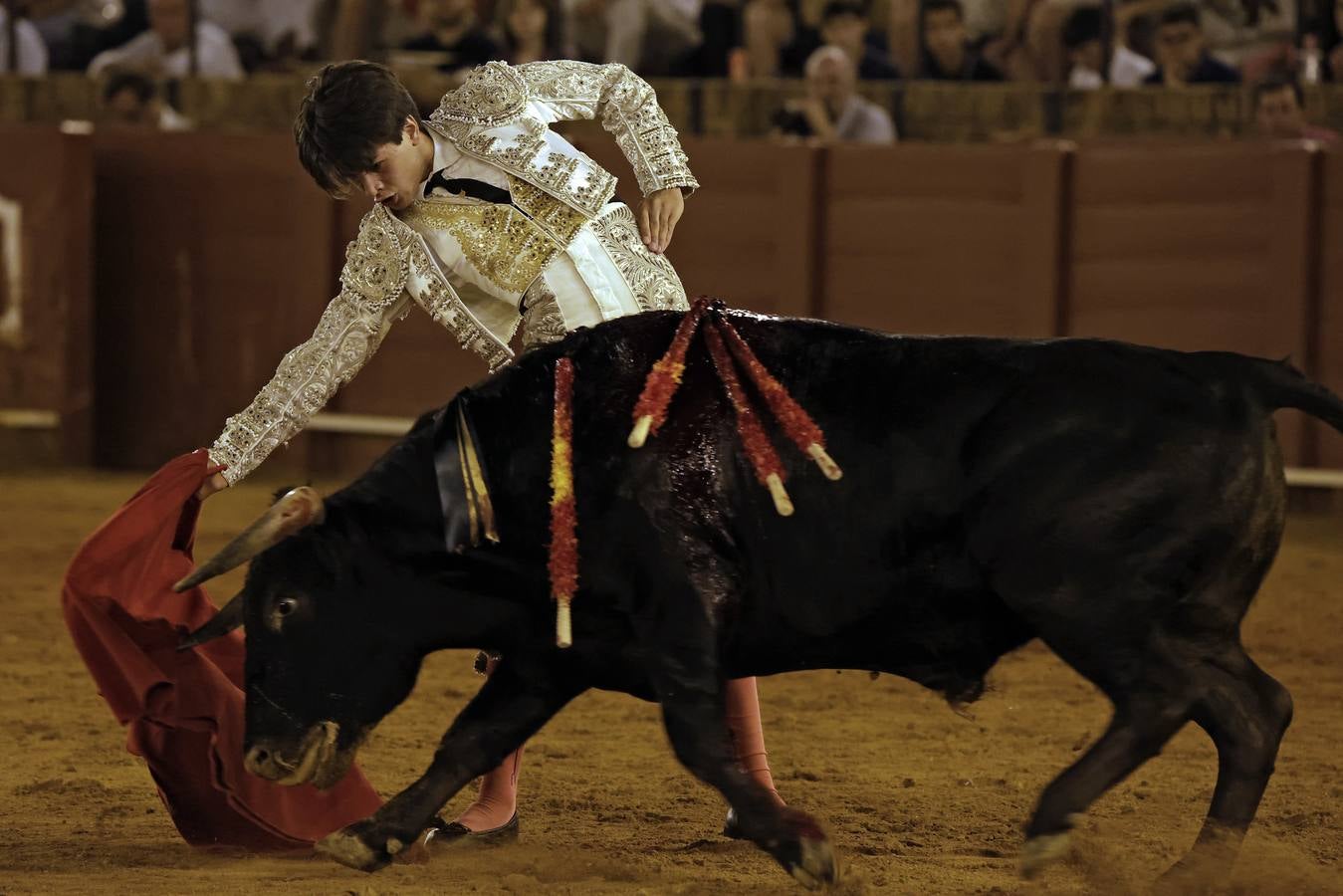 Clovis, de la Escuela Taurina de Beziers, vuelta tras petición