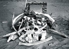 Desde la Costa de los Esqueletos, arena, maderas, óxido y huesos