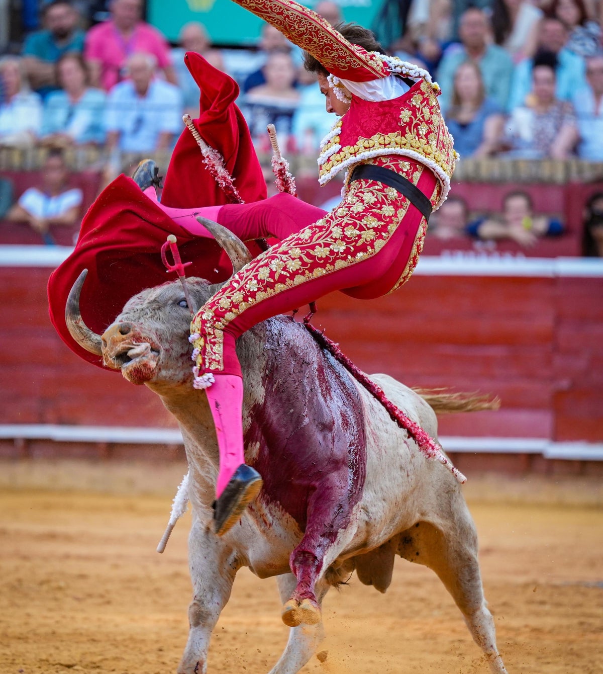 Cogida de Roca Rey en Huelva