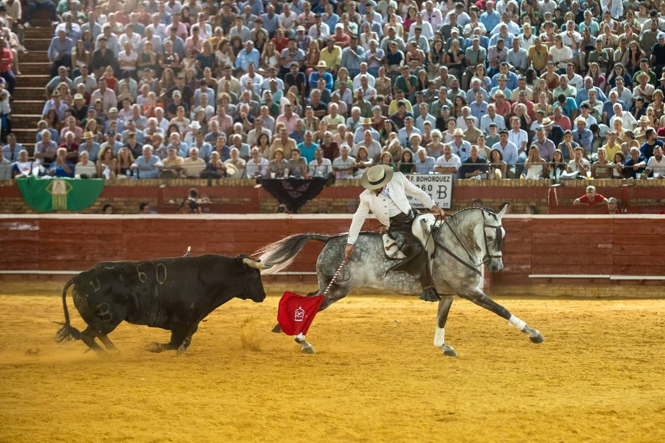 Sergio Galán, Diego Ventura y Andrés Romero pusieron en pie a los tendidos de La Merced