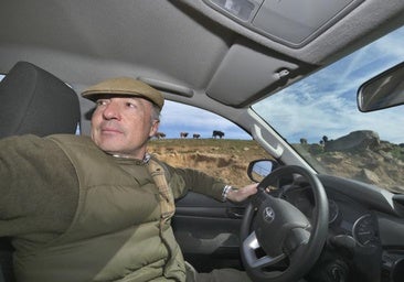 Los toros de Juan Pedro Domecq viajan en ferry hasta Mallorca para la esperada noche de Morante