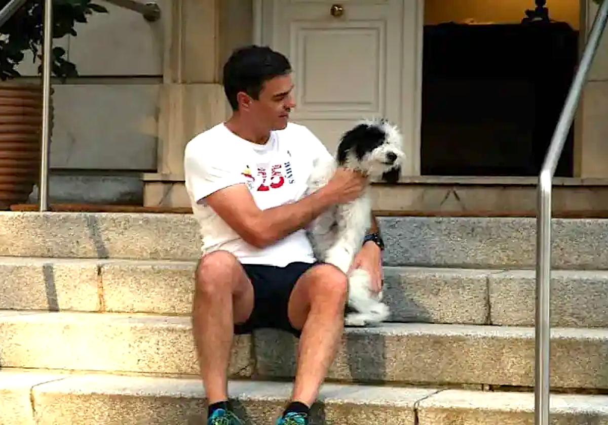 Pedro Sánchez con su perra Turca