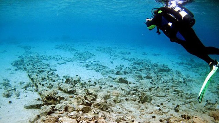 Buzo explorando el fondo marino