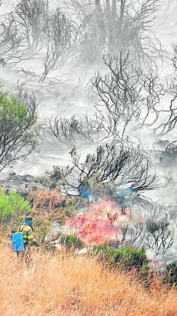 Por el humo se sabe…