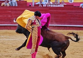 David de Miranda: cuando un torero lo ve y, además, quieren verlo