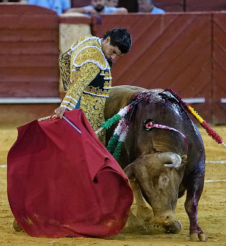 Verticalidad, reunión y mentón hundido de Aguado