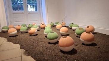 Bárbara Pérez, doğa ve mimari arasındaki simbiyozu yeniden tanımlar