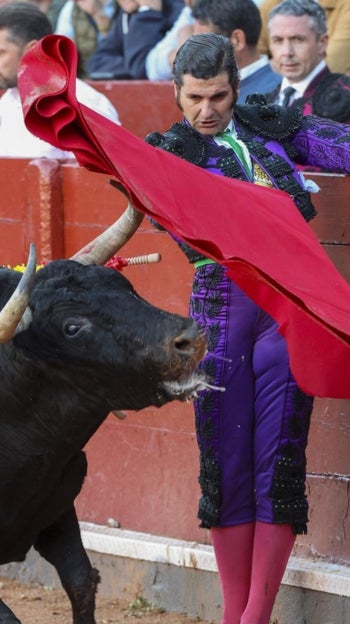 Sin tauromaquia, sin democracia