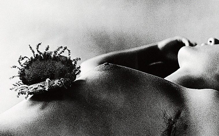 Imagen principal - De arriba abajo, 'Flor y mujer 2'; detalle de 'Flor y hombre'; y 'La otra cara'