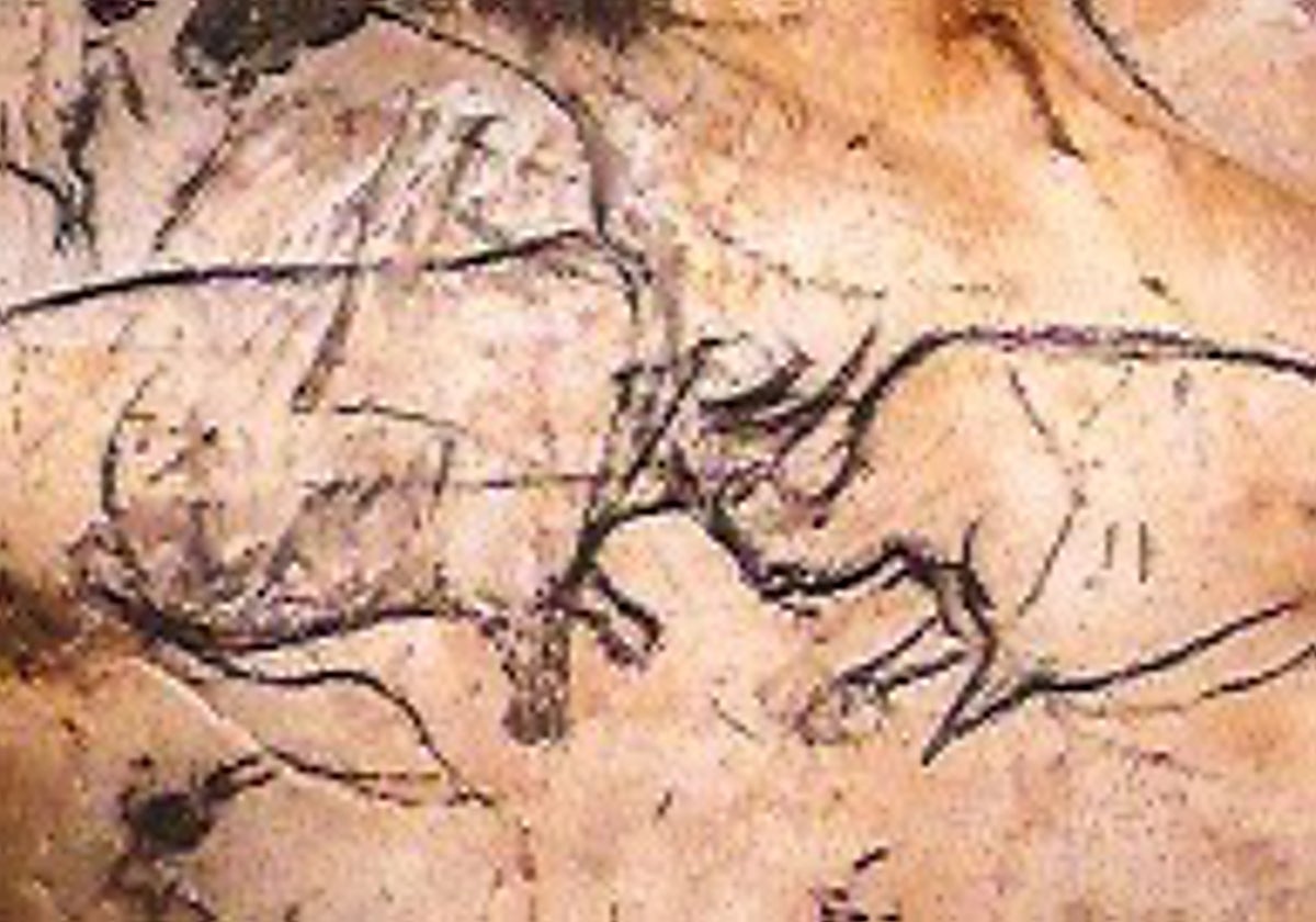 Pelea entre dos rinocerontes, en una pintura de la cueva de Chauvet