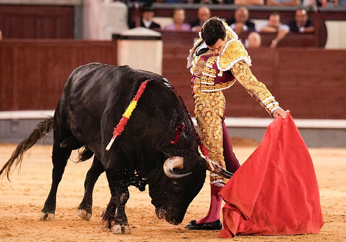 Una nueva cita con los toros