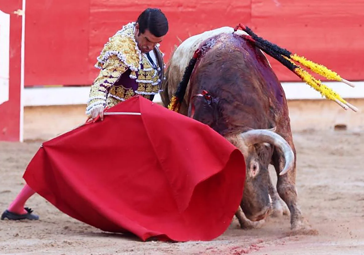 Una nueva cita con los toros