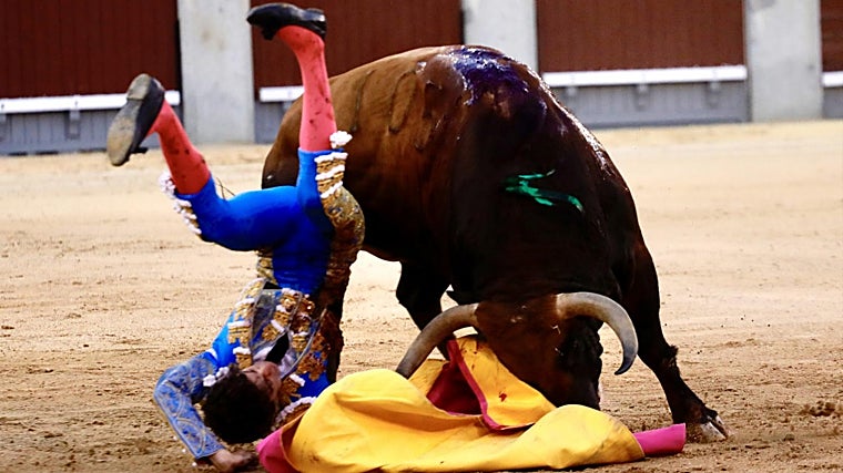 Durísima la caída de Víctor Hernández tras ser corneado por el quinto en un quite
