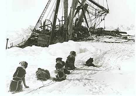 Imagen secundaria 1 - El Endurance. Abajo, foto del hundimiento tomada por Frank Hurley y escorzo del barco aplastado por el hielo en 1915