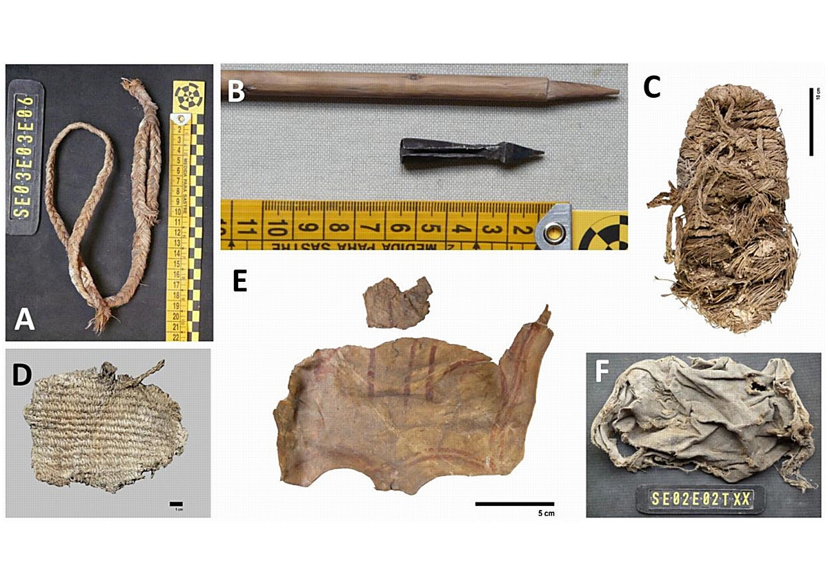 Restos hallados en nidos de quebrantahuesos del sur peninsular