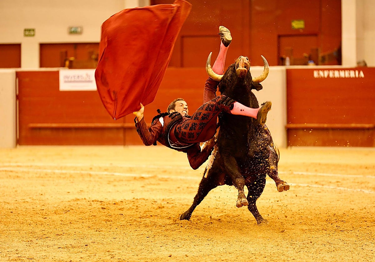 Voltereta en Las Rozas a David de Miranda