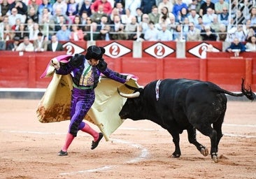 Esta es la temporada 2025 de Morante al detalle